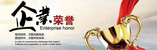 东升国际荣誉