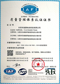 东升国际电线ISO质量治理系统证书